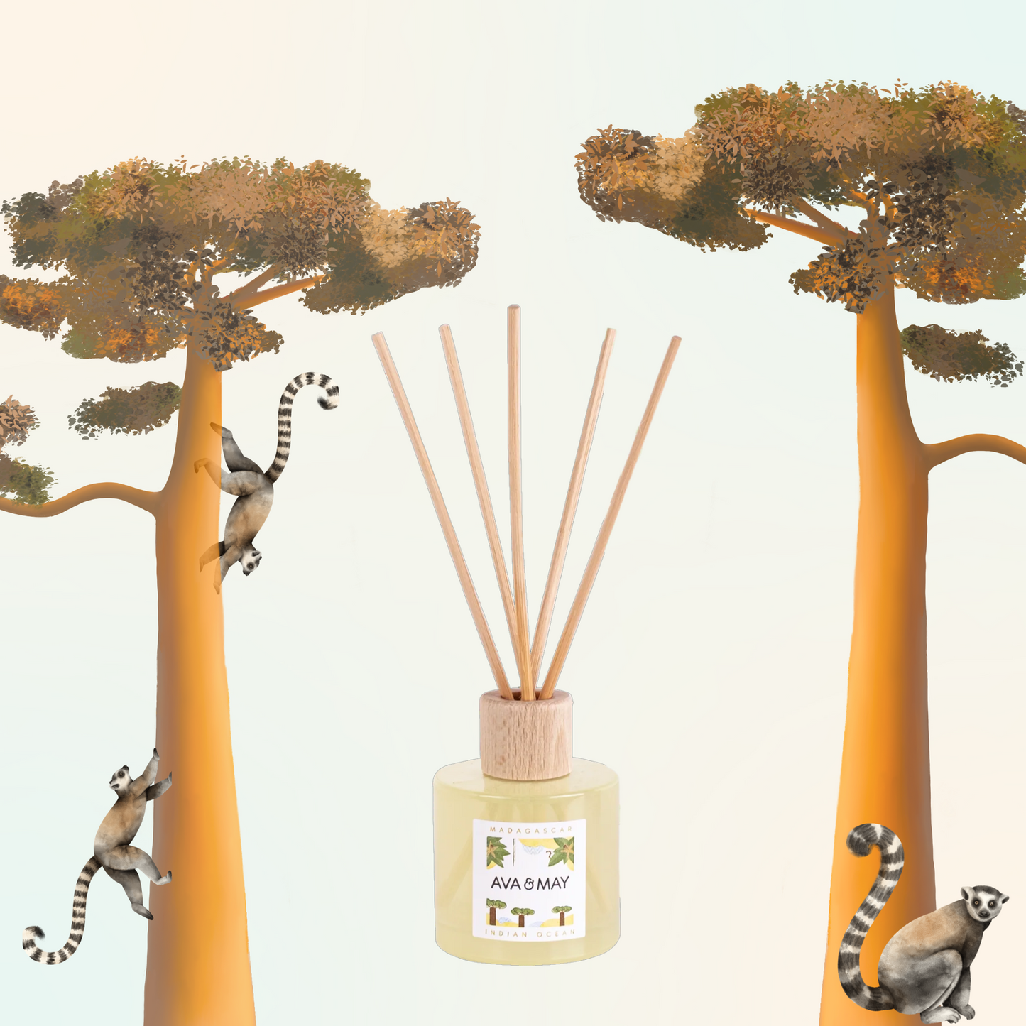 Parfum de cameră AVA & MAY Madagascar 100ml cu arome de vanilie, nucă de cocos și bergamotă